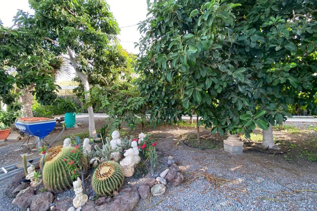 2 Apartments With Private Pool At Villa Diaz Aleman サロブレ エクステリア 写真